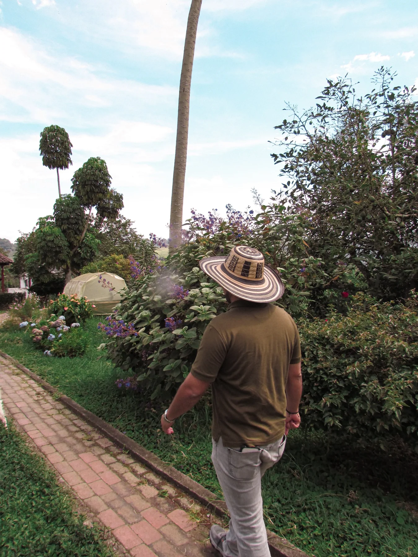 El productor camina entre flores hacia la casa de la finca